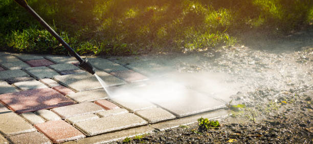 Animal Enclosure Cleaning in Thomaston, NY
